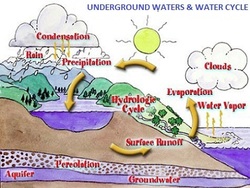 Springs and the Water Cycle